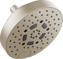 Multi Function Showerhead in Brushed Nickel