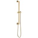 30 in. Shower Rail with Hose in Luxe Gold