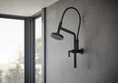 Brizo Matte Black Single Function Full Showerhead 