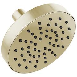 Single Function Showerhead in Polished Nickel