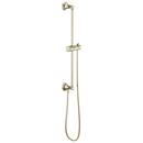 28-1/4 in. Shower Rail with Hose in Polished Nickel