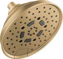 Multi Function Showerhead in Luxe Gold