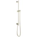 30 in. Shower Rail with Hose in Polished Nickel