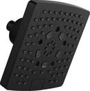 Multi Function Showerhead in Matte Black