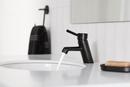 Single Handle Monoblock Bathroom Sink Faucet in Matte Black 