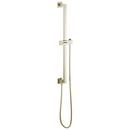 30 in. Shower Rail with Hose in Polished Nickel