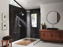 Brizo Chrome Multi Function Hand Shower 