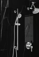 Brizo Chrome Multi Function Hand Shower 