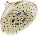 Multi Function Showerhead in Polished Nickel