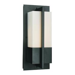 6W 1-Light 5-1/2 in. Wall Sconce in Black