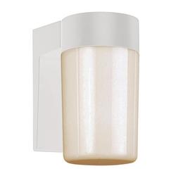 100W 1-Light Down Lighting Outdoor Wall Sconce in Black
