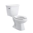 PROFLO&reg; White 1.28 gpf Elongated Floor Mount Two Piece Toilet Bowl 