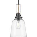 Progress Lighting Graphite 100W 1-Light Medium E-26 Incandescent Pendant Light 