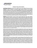 *CVR* RUSHTON 1-LIGHT GRAPHITE CLEA 