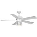 56 in. 5-Blade Indoor/Outdoor AC Motor Coastal Ceiling Fan in White