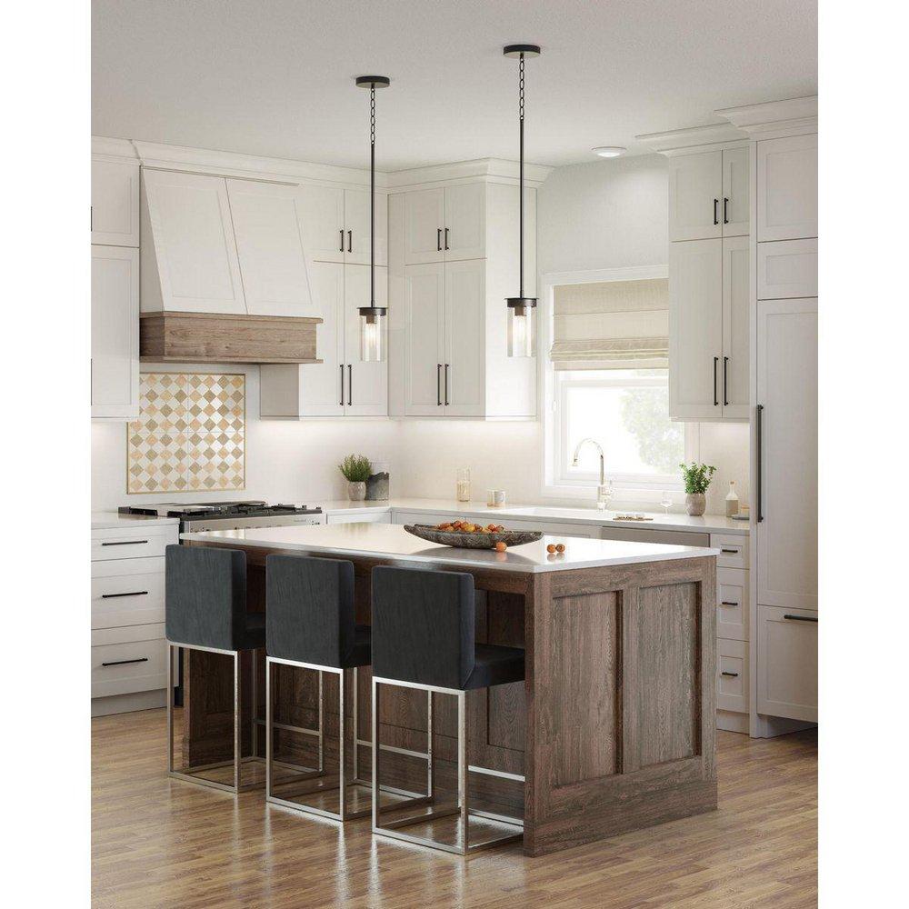 Progress Lighting Matte Black 60W 1-Light Medium E-26 Incandescent Pendant Light 