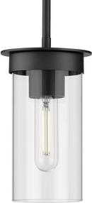 Progress Lighting Matte Black 60W 1-Light Medium E-26 Incandescent Pendant Light 