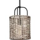 Progress Lighting Matte Black 60W 1-Light Medium E-26 Incandescent Pendant Light 