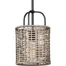 60W 1-Light Medium E-26 Incandescent Pendant Light in Matte Black