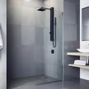 Vigo Industries Matte Black Single Handle Single Function Shower System 