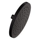 Single Function Showerhead in Matte Black