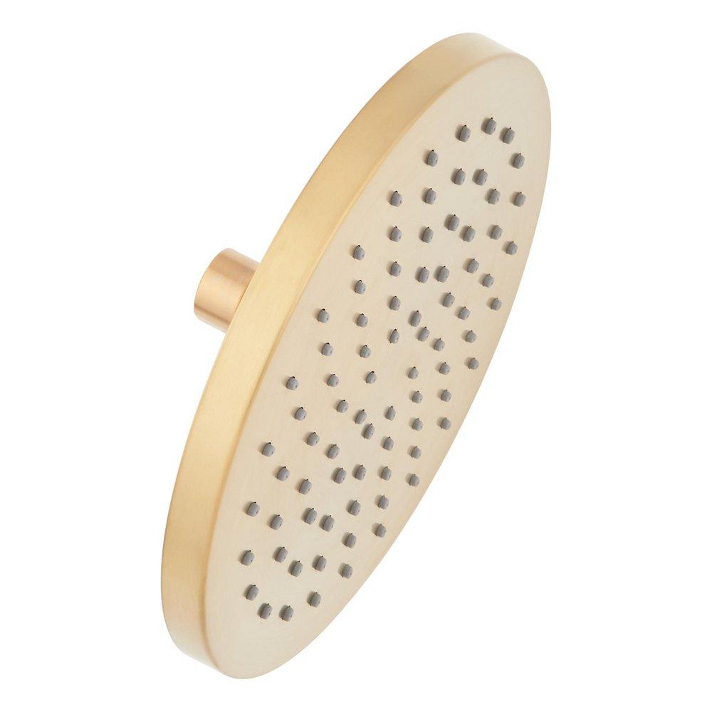 Single Function Showerhead in Brushed Gold 