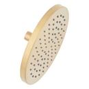 Single Function Showerhead in Brushed Gold