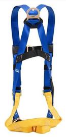 Werner Blue Polyester Slotted Pass Through Standard Harness 
