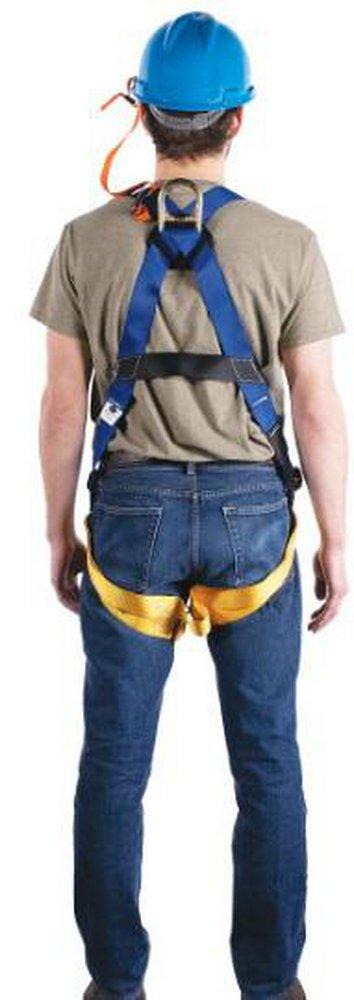 Werner Blue Polyester Slotted Pass Through Standard Harness 