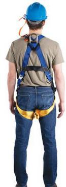 Werner Blue Polyester Slotted Pass Through Standard Harness 