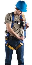 Werner Ladder Blue Polyester Construction Harness 