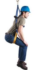 Werner Ladder Blue Polyester Construction Harness 