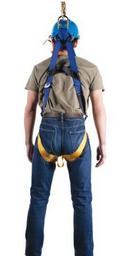Werner Ladder Blue Polyester Construction Harness 