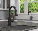 Pfister Tuscan Bronze Single Handle Lever Bar Faucet 
