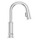 Pfister Polished Chrome Single Handle Lever Bar Faucet 