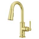 Single Handle Pull Down Bar Faucet in Brushed Gold