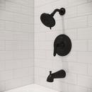 Pfister Matte Black One Handle Single Function Bathtub & Shower Faucet (Trim Only) 