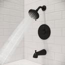 Pfister Matte Black Single Handle Multi Function Bathtub & Shower Faucet (Trim Only) 