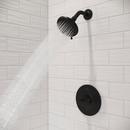 Pfister Matte Black Single Handle Single Function Shower Faucet (Trim Only) 