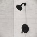 Pfister Matte Black Single Handle Single Function Shower Faucet (Trim Only) 