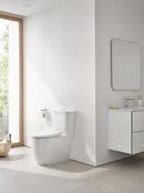 1.0 gpf/1.28 gpf Dual Flush Elongated Two Piece Toilet in Alpine White 