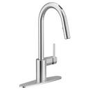 Moen Chrome Single Handle Kitchen Faucet 