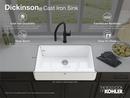 *CVR* DICKINSON UC APN SINK 
