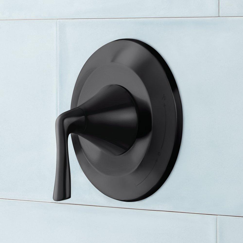 Signature Hardware Matte Black Single Handle Bathtub & Shower Faucet (Trim Only) 