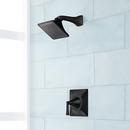 One Handle Single Function Shower Faucet in Matte Black (Trim Only)