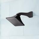 Signature Hardware Matte Black Single Handle Single Function Shower Faucet (Trim Only) 