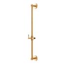 Shower Rail in Brushed Gold