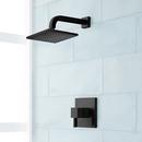 One Handle Single Function Shower Faucet in Matte Black (Trim Only)