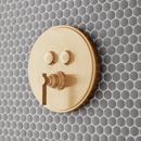 Single Handle Pressure Balancing Valve Trim in Brushed Gold (Trim Only)