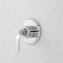 Single Handle Diverter Valve Trim in Chrome (Trim Only)